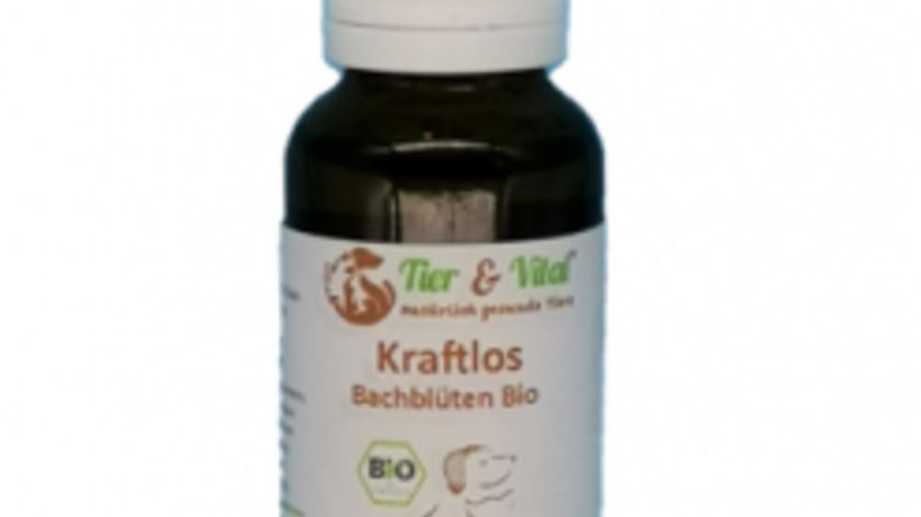 Bachblüten Bio - Kraftlos 20ml