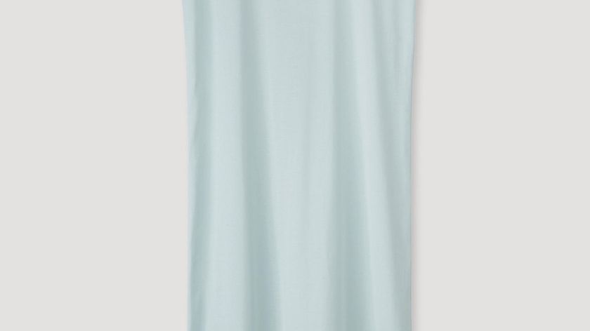 hessnatur Damen Shirtkleid aus Bio-Baumwolle - blau - Größe 40