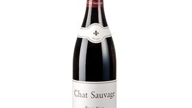 Weingut Chat Sauvage - Rüdesheimer Drachenstein - Pinot Noir