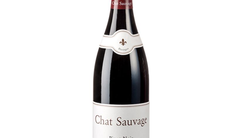 Weingut Chat Sauvage - Rüdesheimer Drachenstein - Pinot Noir