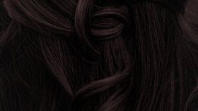 Pflanzenhaarfarbe Komplett SET kühles dunkles Mahagony-Schwarz "Cool mahagony black" Naturfriseur Pr