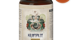 Kraftpilze Athena – Vitalpilz Synergetikum – 120 Kapseln