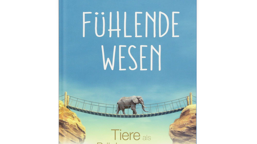 Buch: Fühlende Wesen