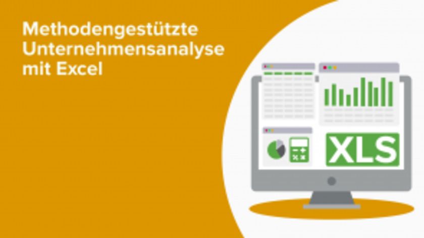 Methodengestützte Unternehmensanalyse mit Excel