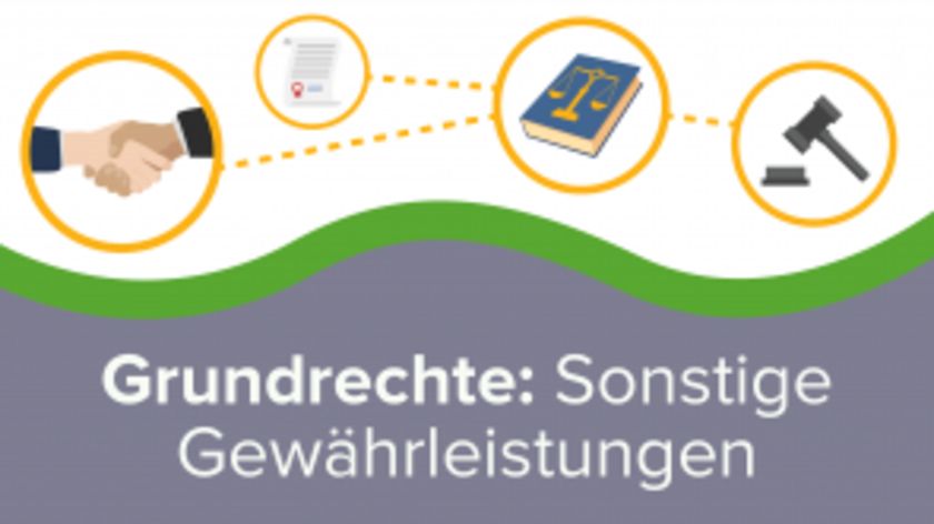 Grundrechte: Sonstige Gewährleistungen