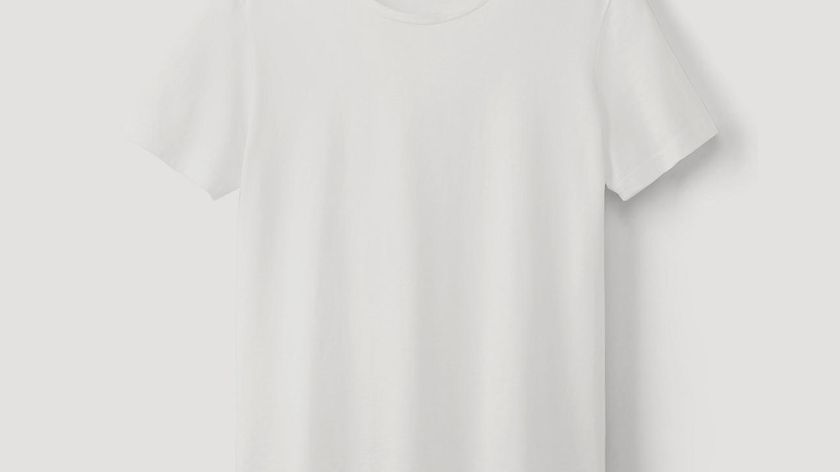 hessnatur Damen Kurzarm-Shirt aus Bio-Baumwolle - weiß - Größe 46