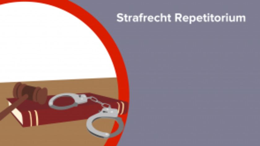 Strafrecht Repetitorium