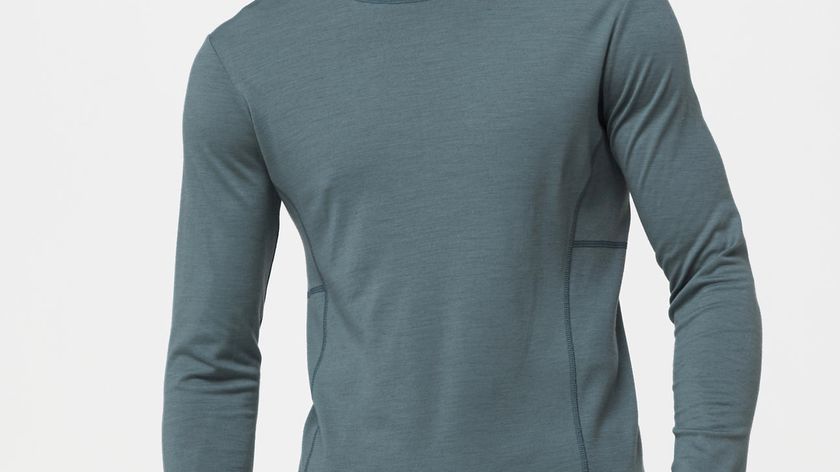 hessnatur Langarmshirt aus Bio-Merinowolle - grün - Größe 50