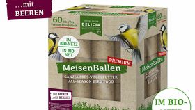 Meisenballen mit Beeren - im Bio-Netz 60er