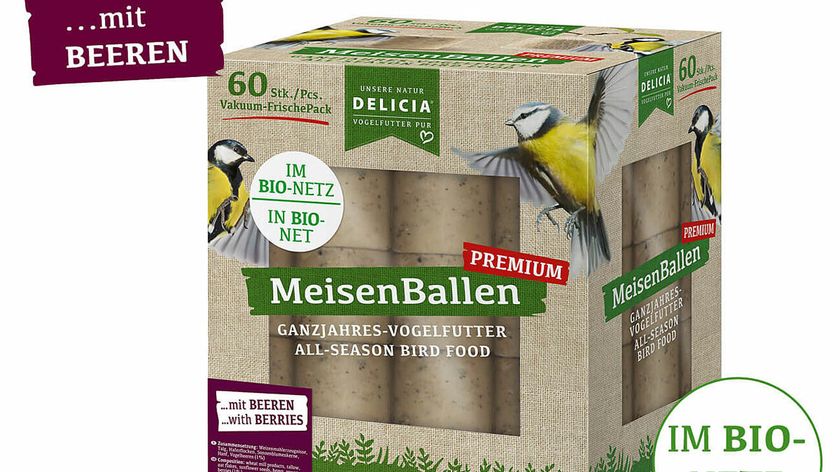 Meisenballen mit Beeren - im Bio-Netz 60er