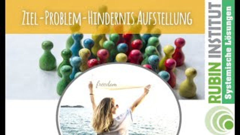 Systemische Strukturaufstellungen #3 - Aufstellungsarbeit mit Ziel, Problem und Hindernis