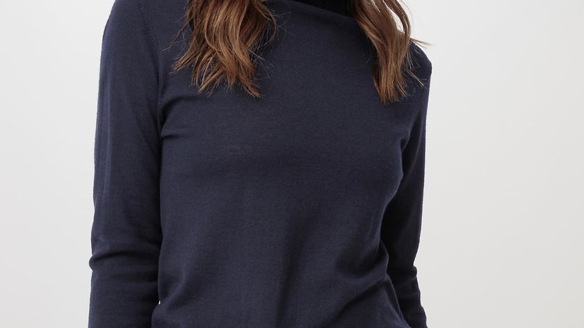 hessnatur Damen Rollkragenpullover aus Bio-Merinowolle - blau - Größe 48