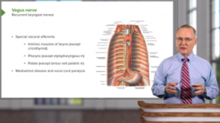 Thoracic Viscera with Dr. Canby