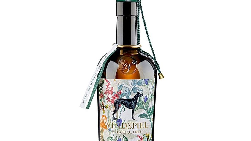 Windspiel Alkoholfrei - 500 mL