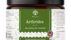 Arthridea – Die Göttin der Gelenke