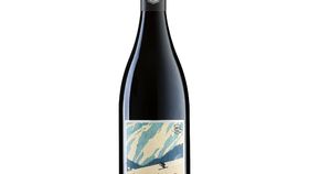 Bergdolt-Reif & Nett - Skiing - Pinot Noir