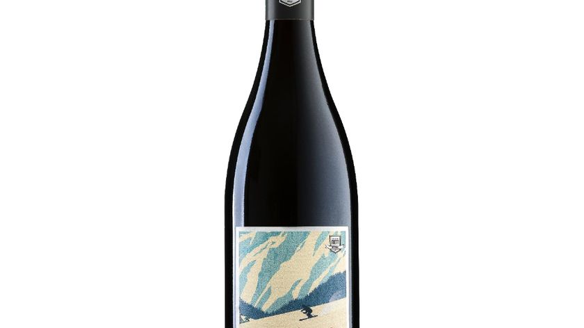 Bergdolt-Reif & Nett - Skiing - Pinot Noir