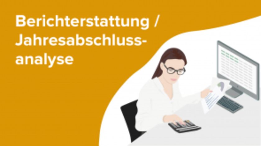 Berichterstattung / Jahresabschlüsse aufbereiten und auswerten