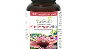 Pro Immun Vita 90 Kapseln (mit Echinacea + Ling Zhi) im Glas