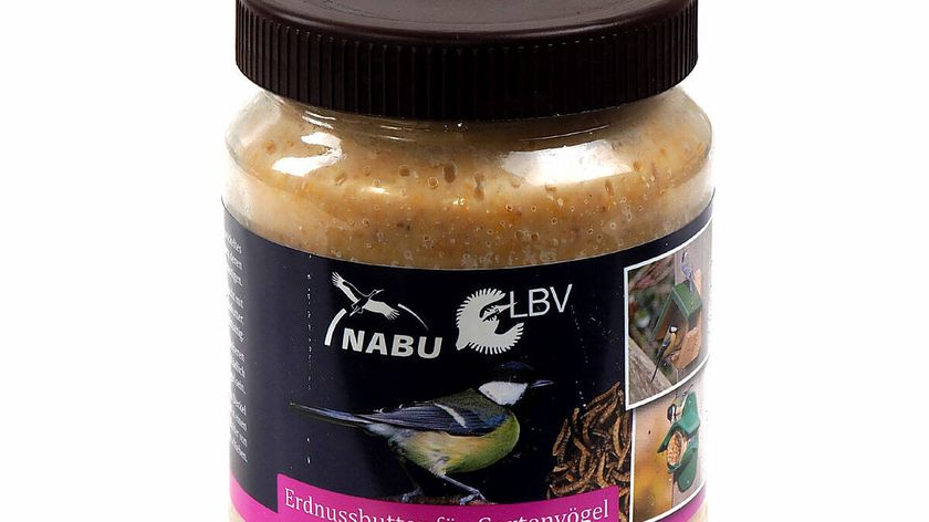 NABU / LBV Erdnussbutter für Vögel mit Mehlwürmern