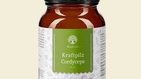 Bio Kraftpilz Cordyceps – Vitalpilzpulver – 100g