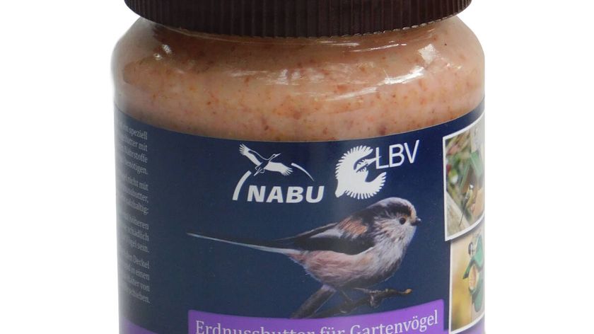 Erdnussbutter mit Waldbeeren für Vögel