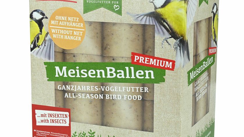 Meisenballen mit Insekten - ohne Netz 60er