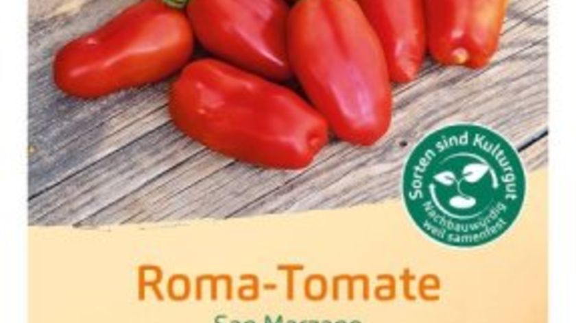 Bingenheimer Saatgut Tomate "San Marzano"