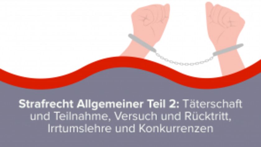 Strafrecht Allgemeiner Teil 2: Täterschaft und Teilnahme, Versuch und Rücktritt, Irrtumslehre und Konkurrenzen