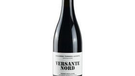 Weingut Eduardo Torres Acosta - Versante Nord - Nerello Mascalese