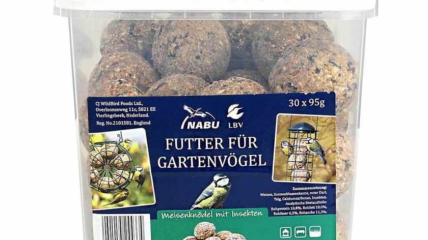 Eimer mit 30x95 g Meisenknödeln mit Insekten