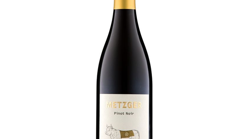 Weingut Metzger - Pinot Noir