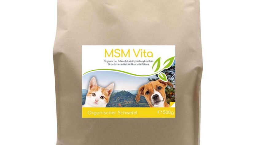 MSM - Organischer Schwefel - 500g f?r Hunde & Katzen