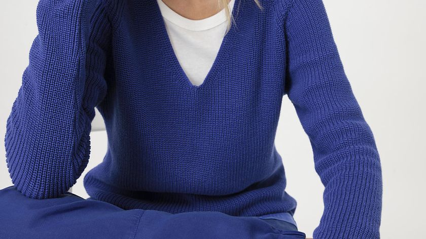 hessnatur Damen Pullover Regular aus Bio-Baumwolle - blau - Größe 44