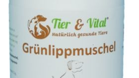 Grünlippmuschel 100 g