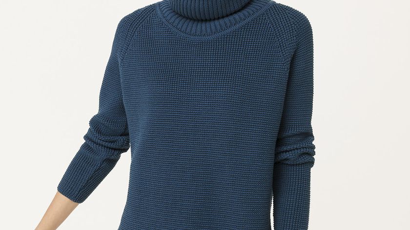 hessnatur Damen Pullover aus Bio-Baumwolle - blau - Größe 46