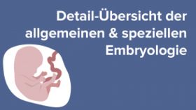 Detail-Übersicht der allgemeinen & speziellen Embryologie