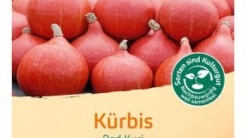 Bingenheimer Saatgut Kürbis Hokkaido Red Kuri