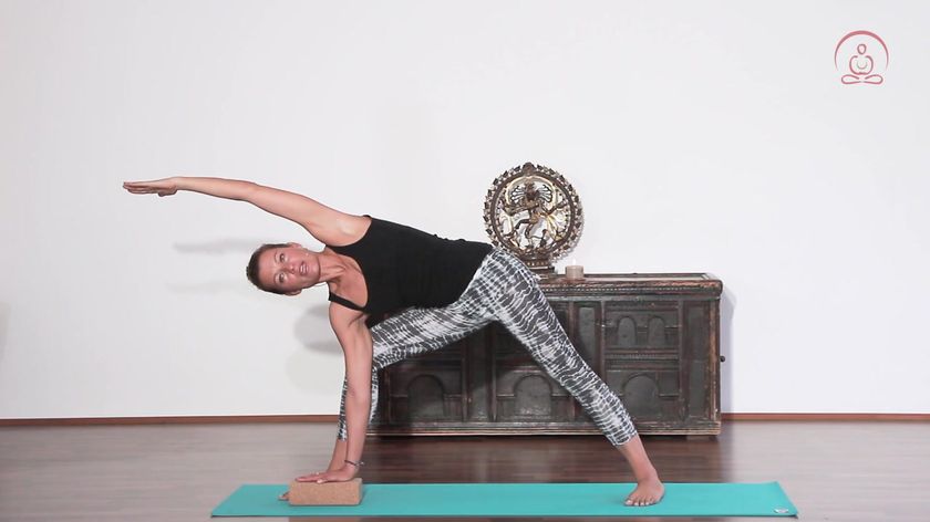 Vinyasa Flow 4