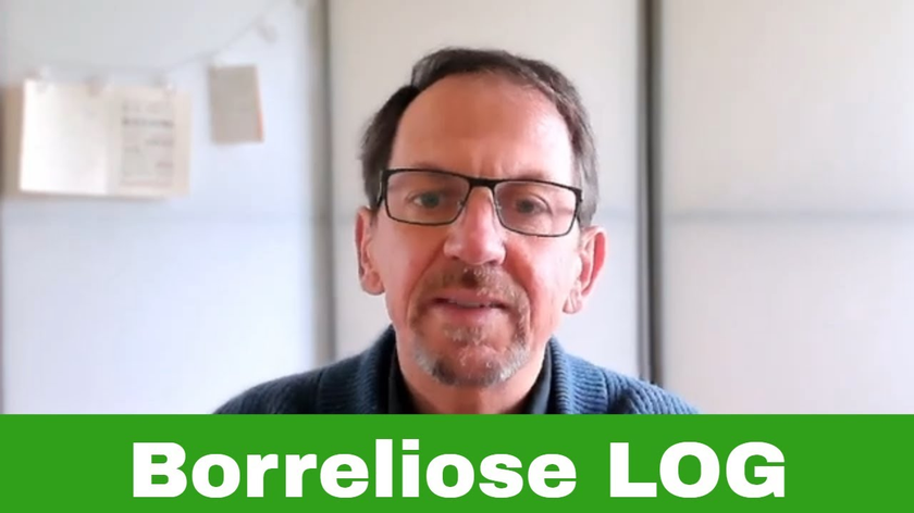 #1 Lyme-Borreliose  VLOG und die Sicht der Psycho-Neuro-Immunologie