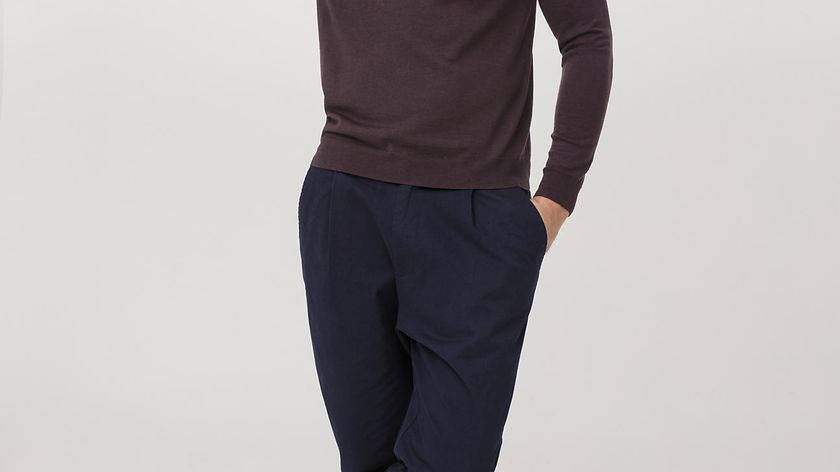 hessnatur Herren Pullover aus Bio-Merinowolle - aubergine - Größe 46