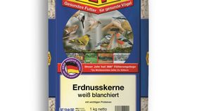 Erdnusskerne weiß blanchiert 1000 g