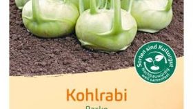 Bingenheimer Saatgut Kohlrabi, weiß rasko
