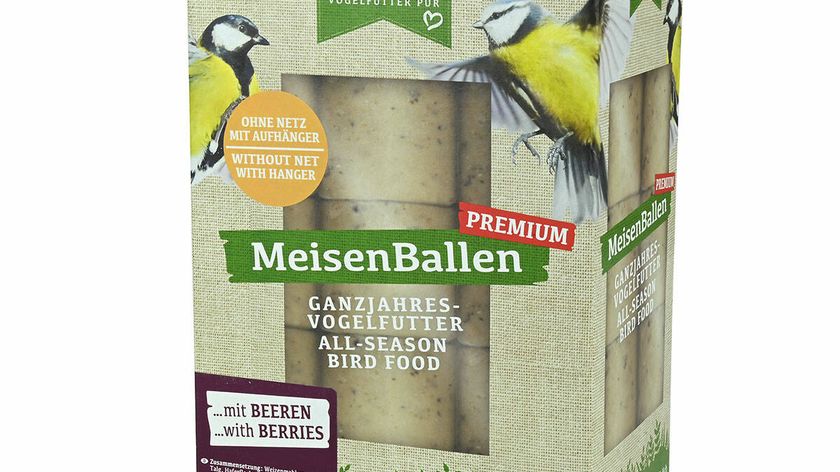 Meisenballen mit Beeren - ohne Netz 30er