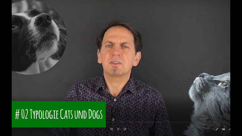 02 Typologie Cats and Dogs (nach Michael Grinder)