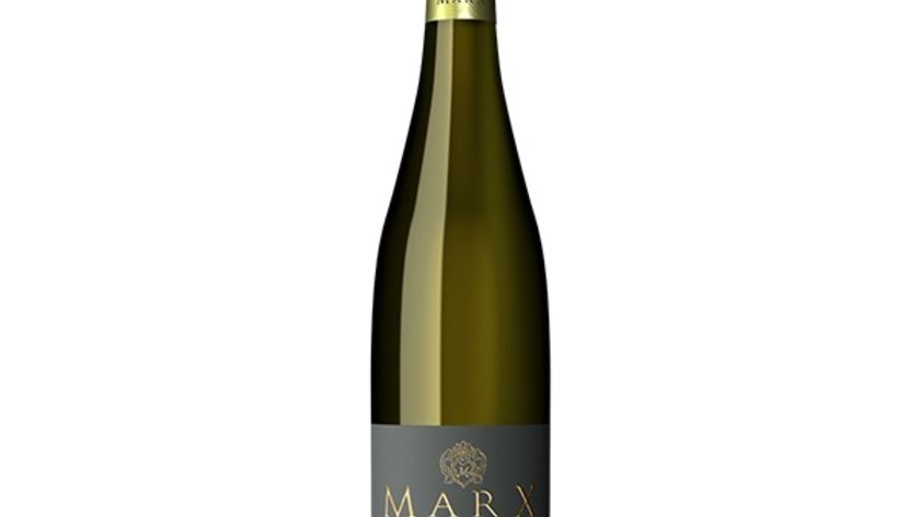 Weingut Marx - Riesling -R-