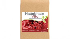 Nattokinase Vita (Das Plus für Blut & Zelle) 500 Kapseln Vorratsbeutel