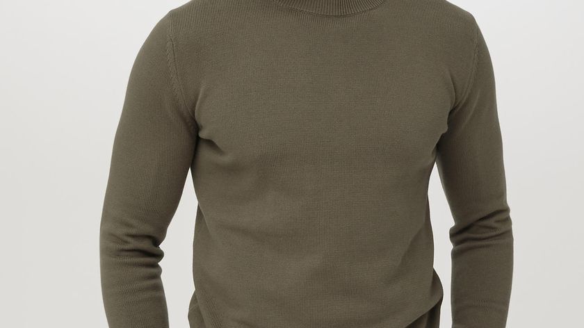 hessnatur Herren Pullover Regular aus Bio-Baumwolle - grün - Größe 50