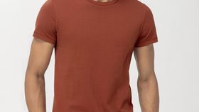 hessnatur Herren T-Shirt Zwirnjersey aus Bio-Baumwolle - braun - Größe 54