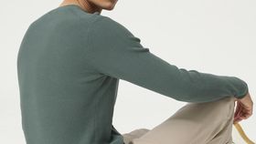 hessnatur Herren Pullover aus Bio-Baumwolle - grün - Größe 52